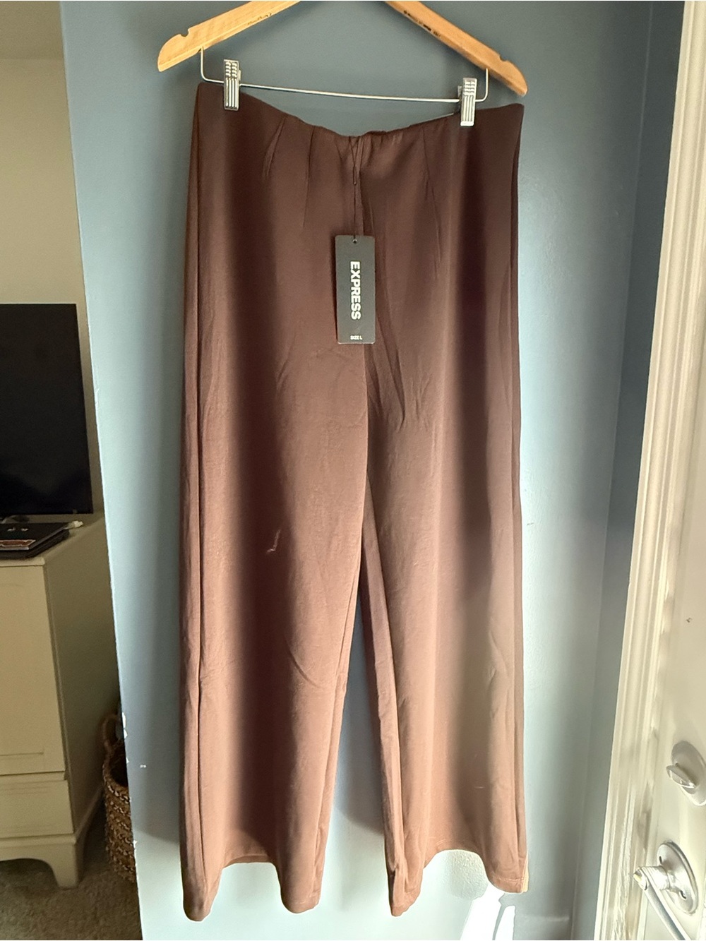 Express Wide-Leg Pants in Rich Brown